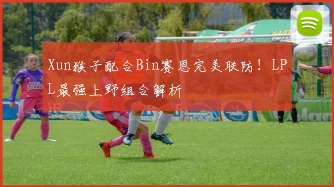 Xun猴子配合Bin赛恩完美联防！LPL最强上野组合解析